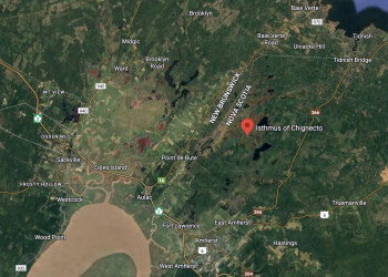 Mi’gmaq chiefs say gas plant can’t proceed without Indigenous-led impact assessment